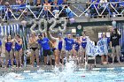Swimming & Diving vs Babson  Swimming & Diving vs Babson College. - Photo by Keith Nordstrom : Wheaton, Swimming